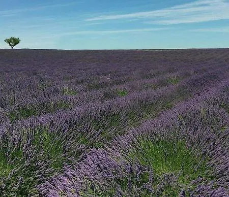 Un Cadre Exceptionnel Et Artistique Pour Halte Tranquille En Provence Konukevi