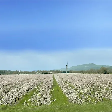Un Cadre Exceptionnel Et Artistique Pour Halte Tranquille En Provence Konukevi Montfort (Alpes-de-Haute-Provence)